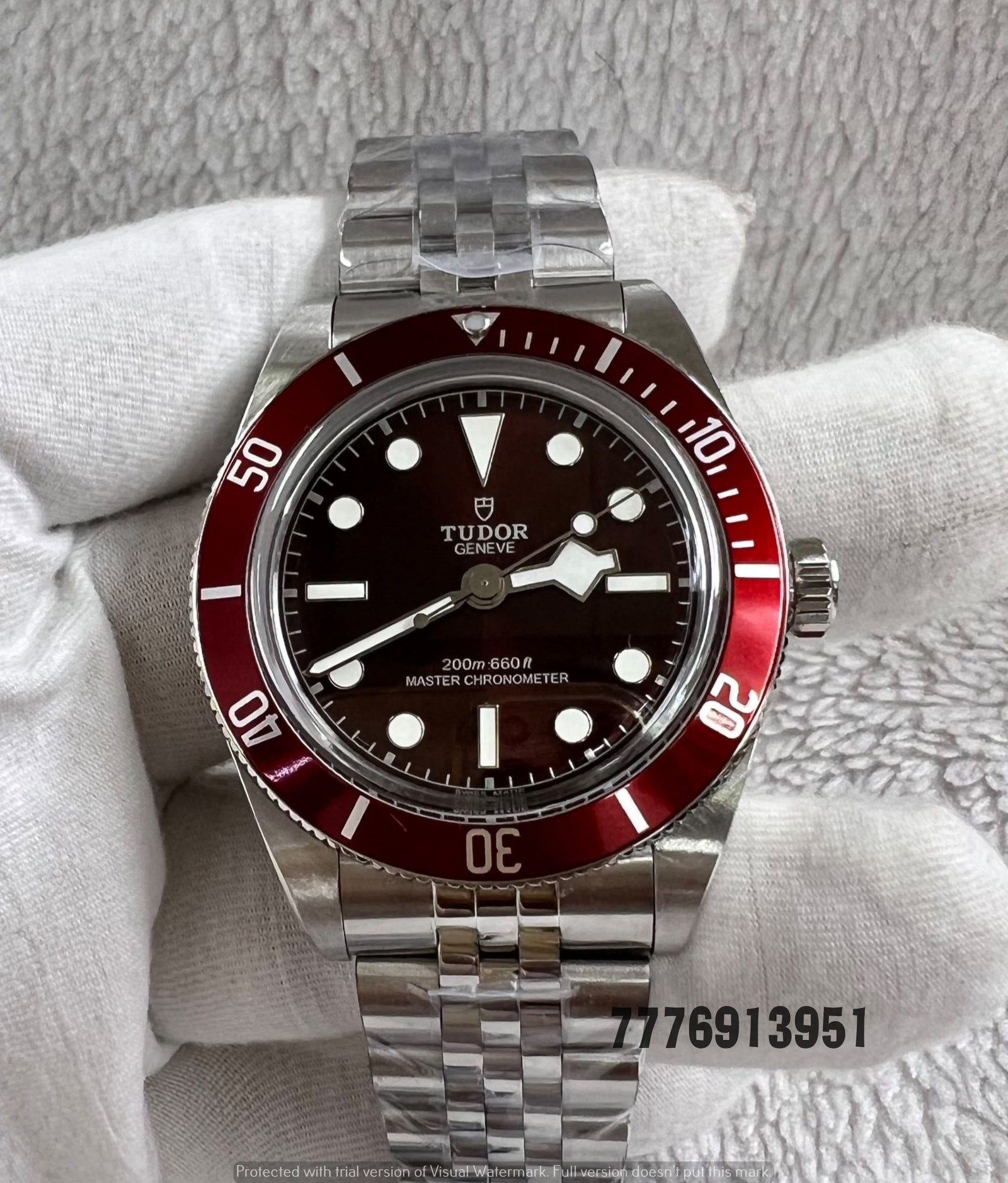 Tudor Watch