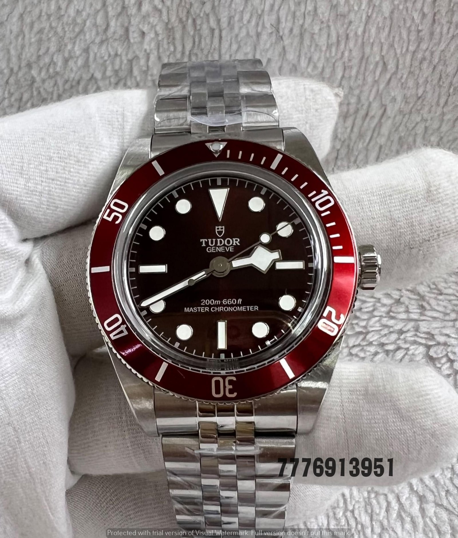 Tudor Watch